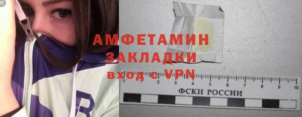 шишки Богородицк