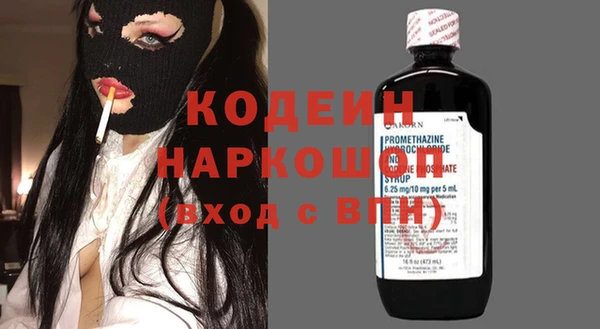 шишки Богородицк