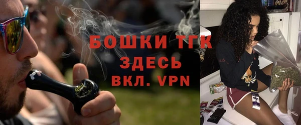шишки Богородицк
