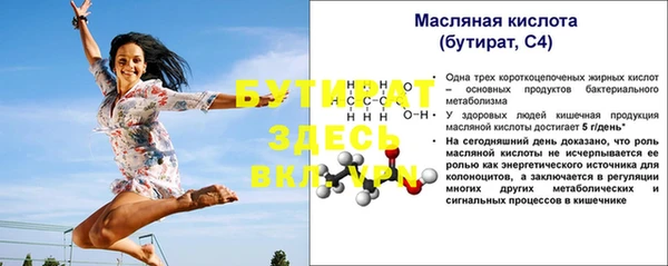 индика Богданович