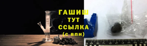 индика Богданович