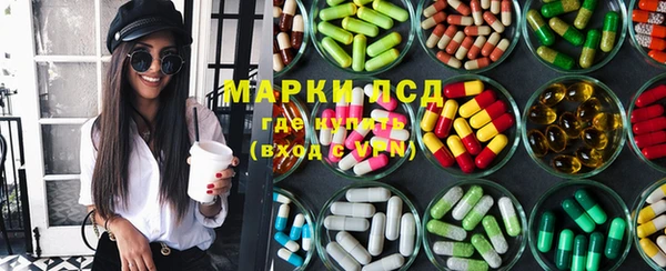 индика Богданович