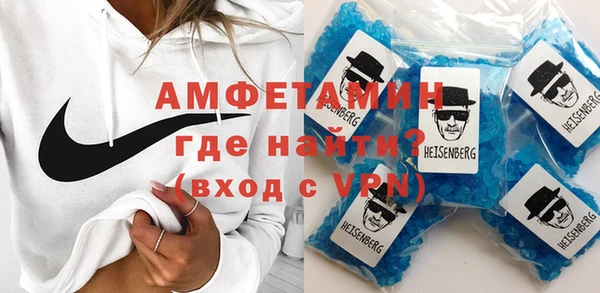 индика Богданович