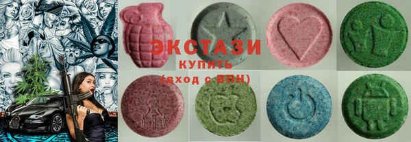 индика Богданович