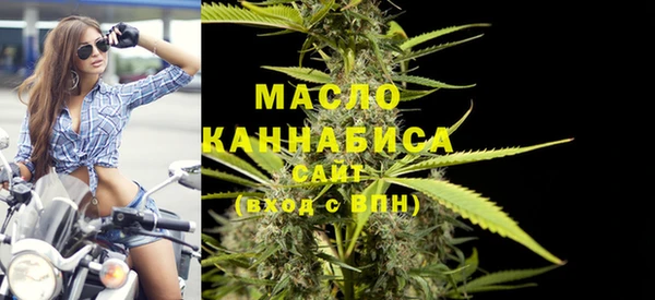 индика Богданович