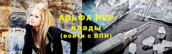 индика Богданович