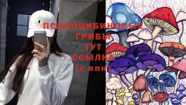 шишки Богородицк