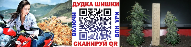 МАРИХУАНА VHQ  Купить закладки  Осинники 